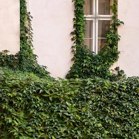 アパート Spacious Luxury Old Town Flat タリン