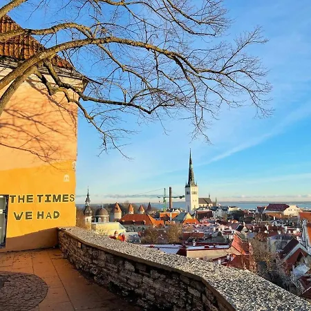 Spacious Luxury Old Town Flat * タリン