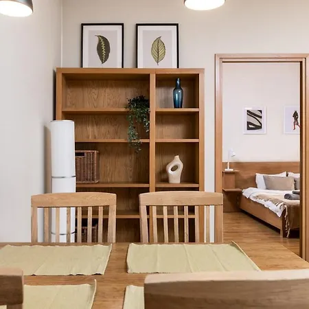 Spacious Luxury Old Town Flat